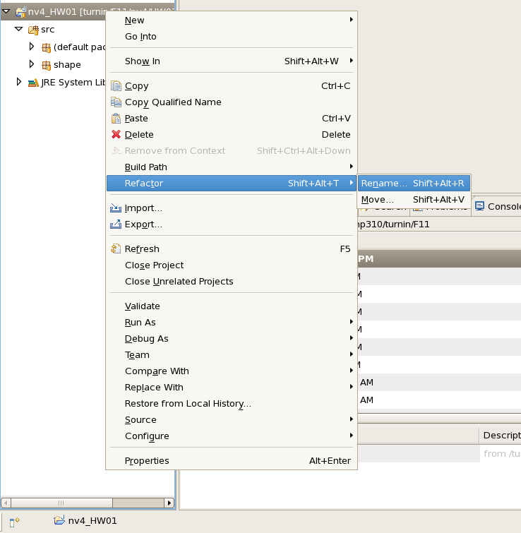 Copying a Sourcecontrolled Project